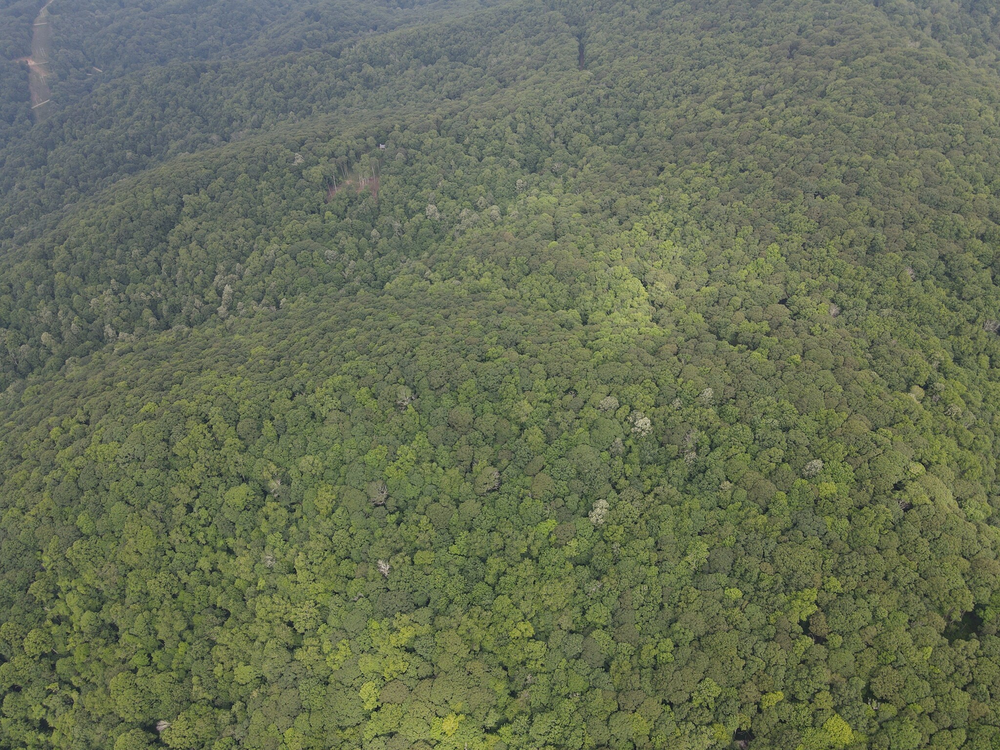 251 Grouse Thicket Mars Hill NC 28754 Wolf Laurel Ridge LoopNet