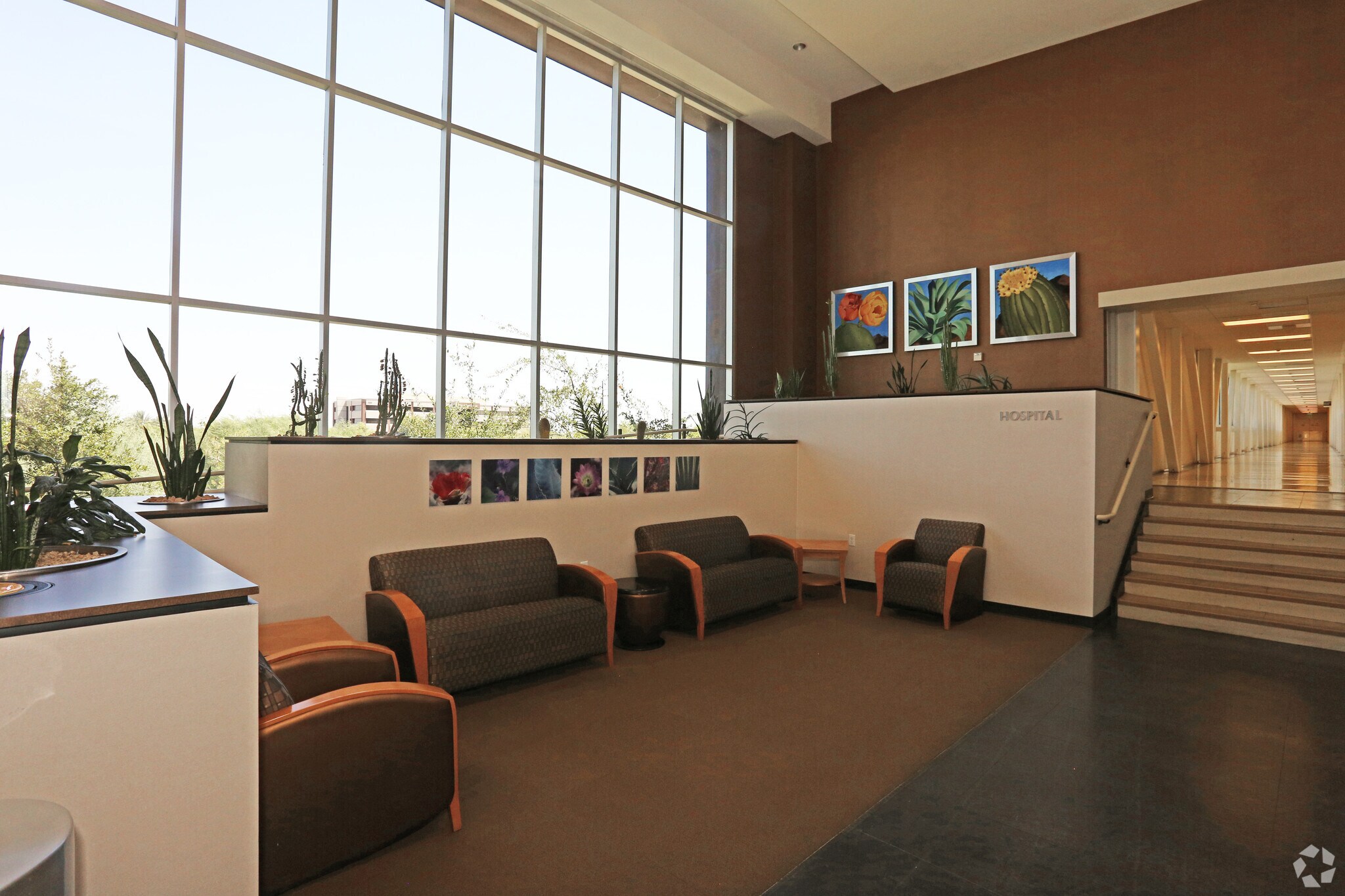 Cbre National 9305 W Thomas Rd Medical Phoenix Az