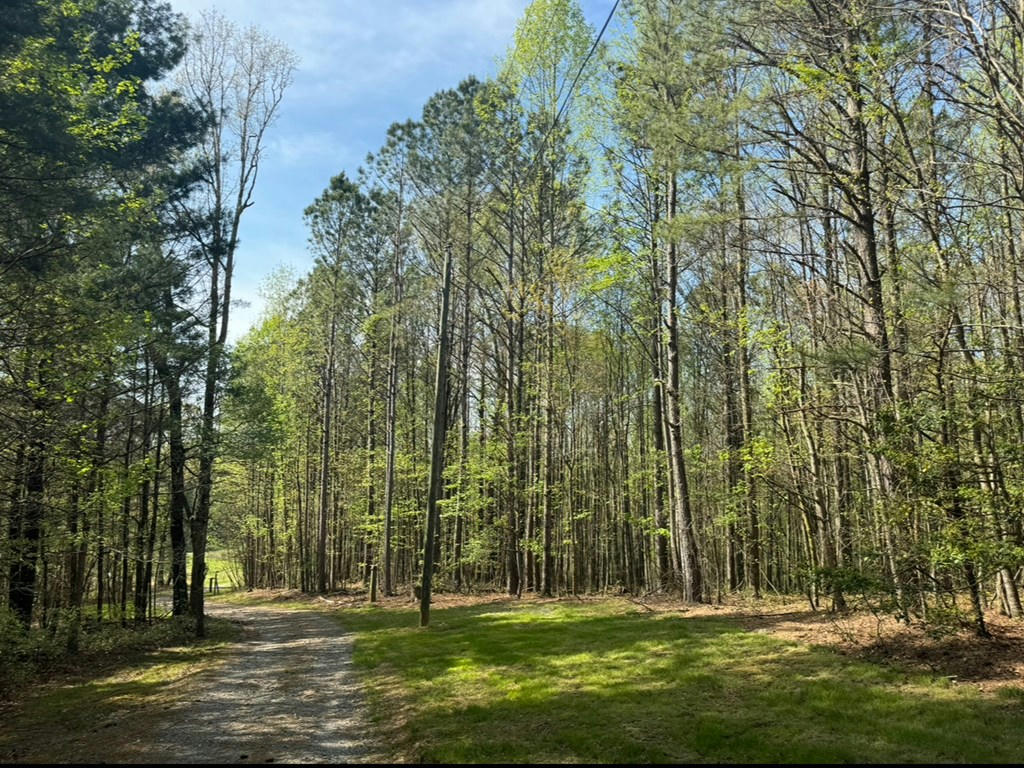 Old Clear Creek Rd Ellijay Ga Loopnet