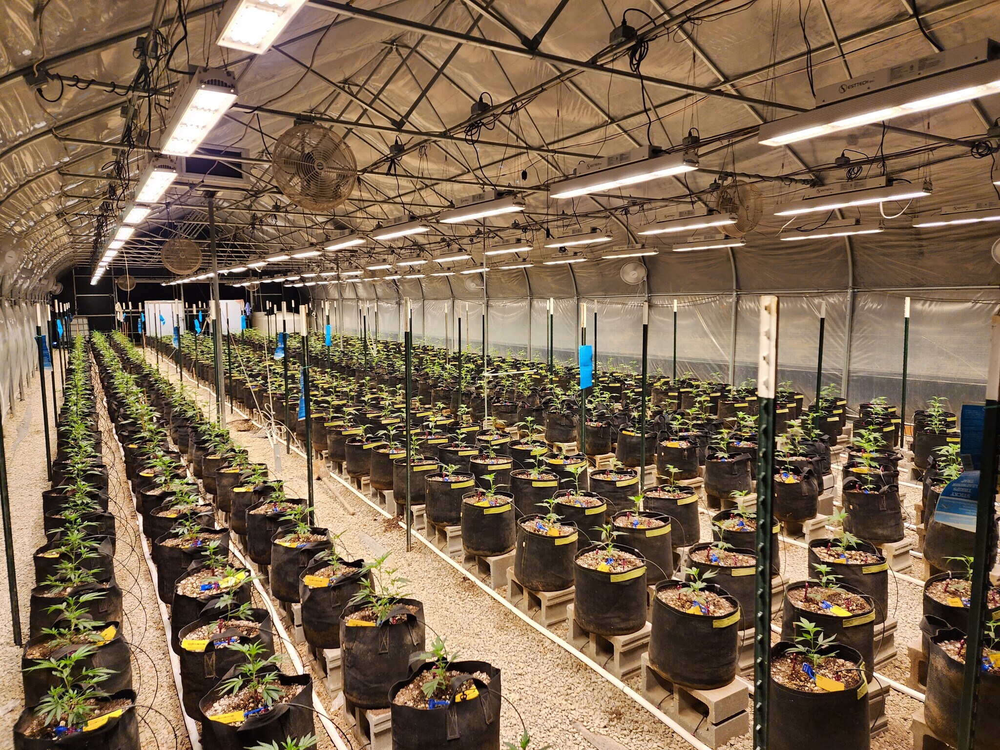 24833 S 200 Rd, Henryetta, OK for sale Primary Photo- Image 1 of 1