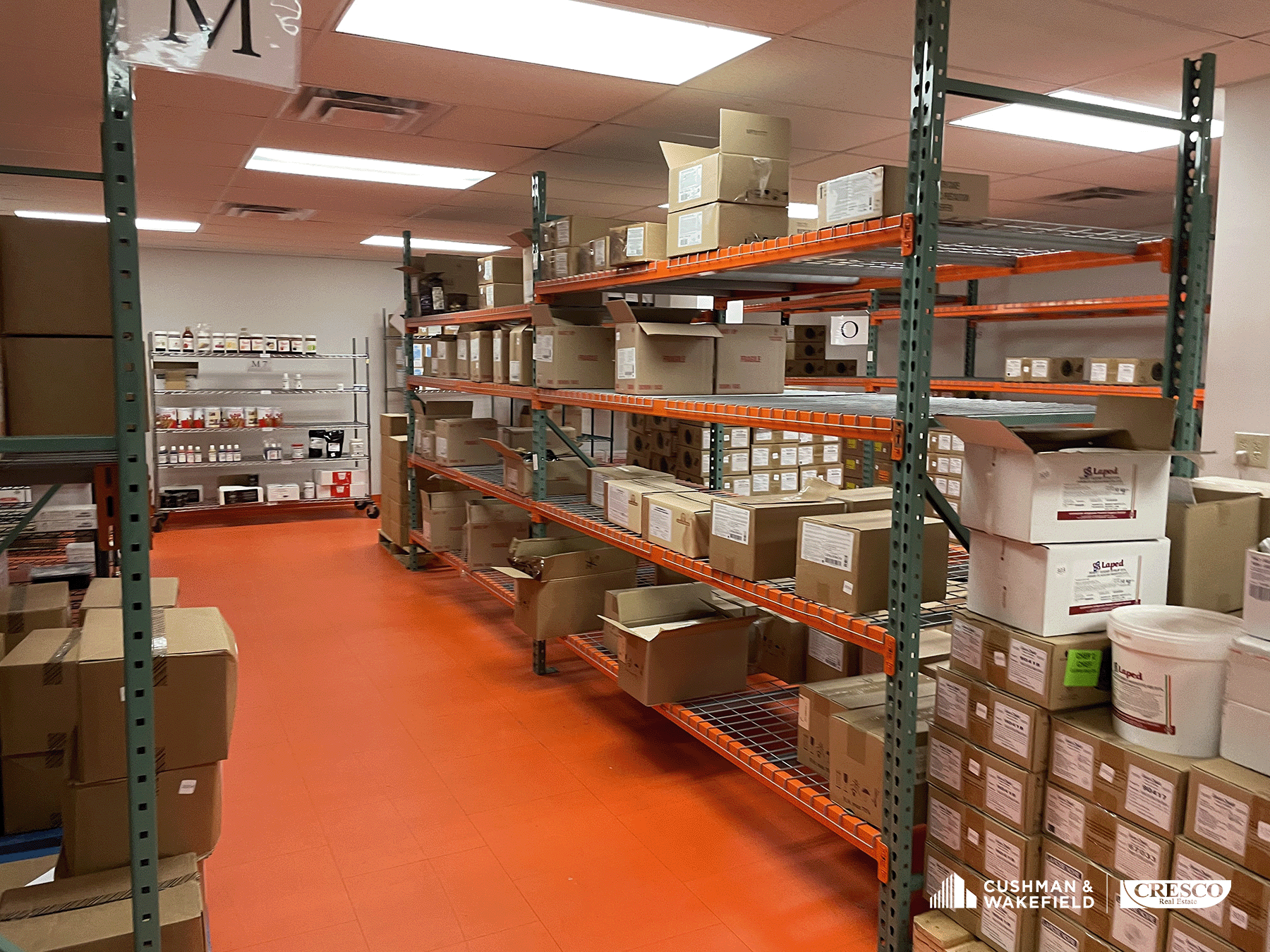 1893 E 55th St, Cleveland, OH for lease Interior Photo- Image 1 of 15