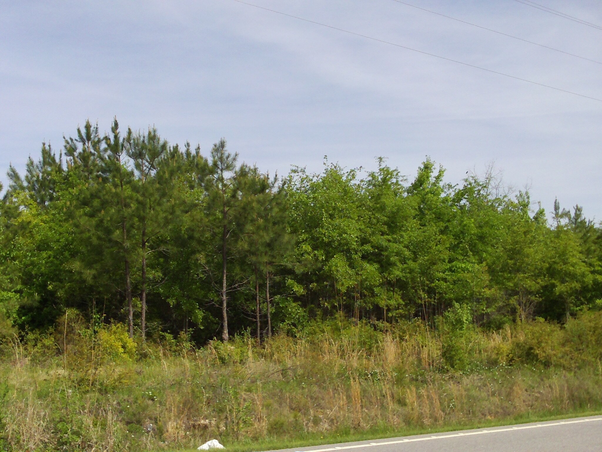 Peak Exit (1-26) & Bickley Rd, Irmo, SC for sale Building Photo- Image 1 of 1