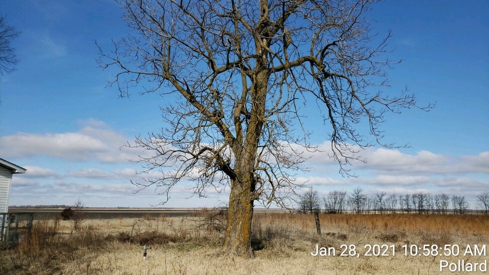 74 County Road 325, Pollard, AR for sale - Building Photo - Image 3 of 9