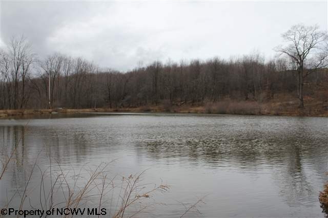 721 Shatzer Rd, Terra Alta, WV for sale - Primary Photo - Image 1 of 1