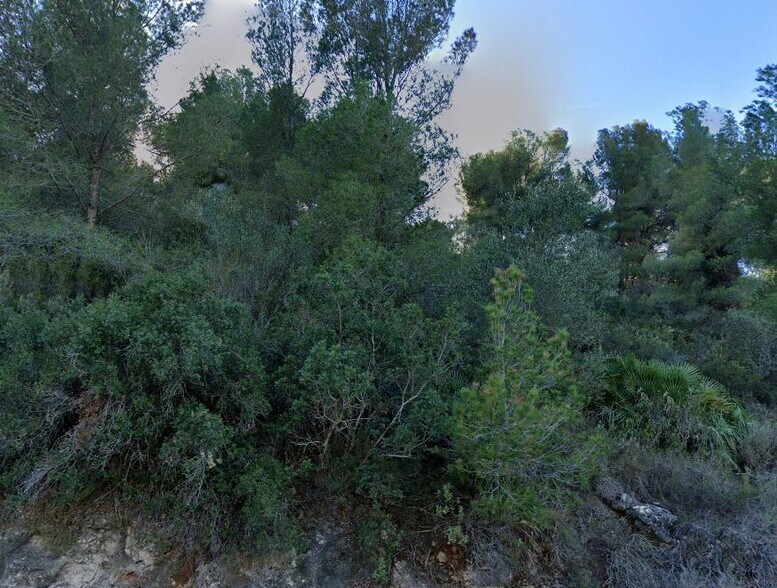 Land in Alicante, Alicante for sale - Building Photo - Image 3 of 3