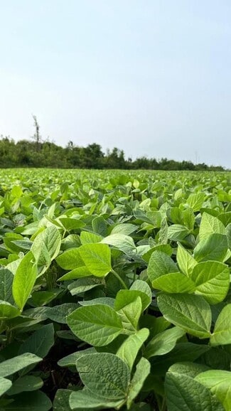 More details for Land for Sale