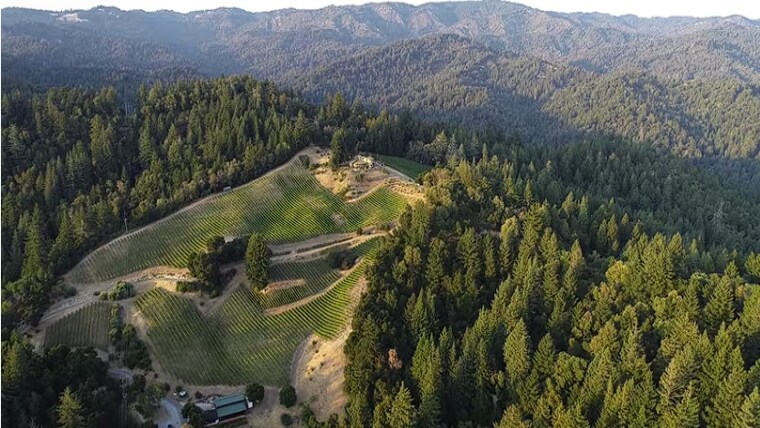 830 Memory Ln, Boulder Creek, CA for sale - Aerial - Image 1 of 1