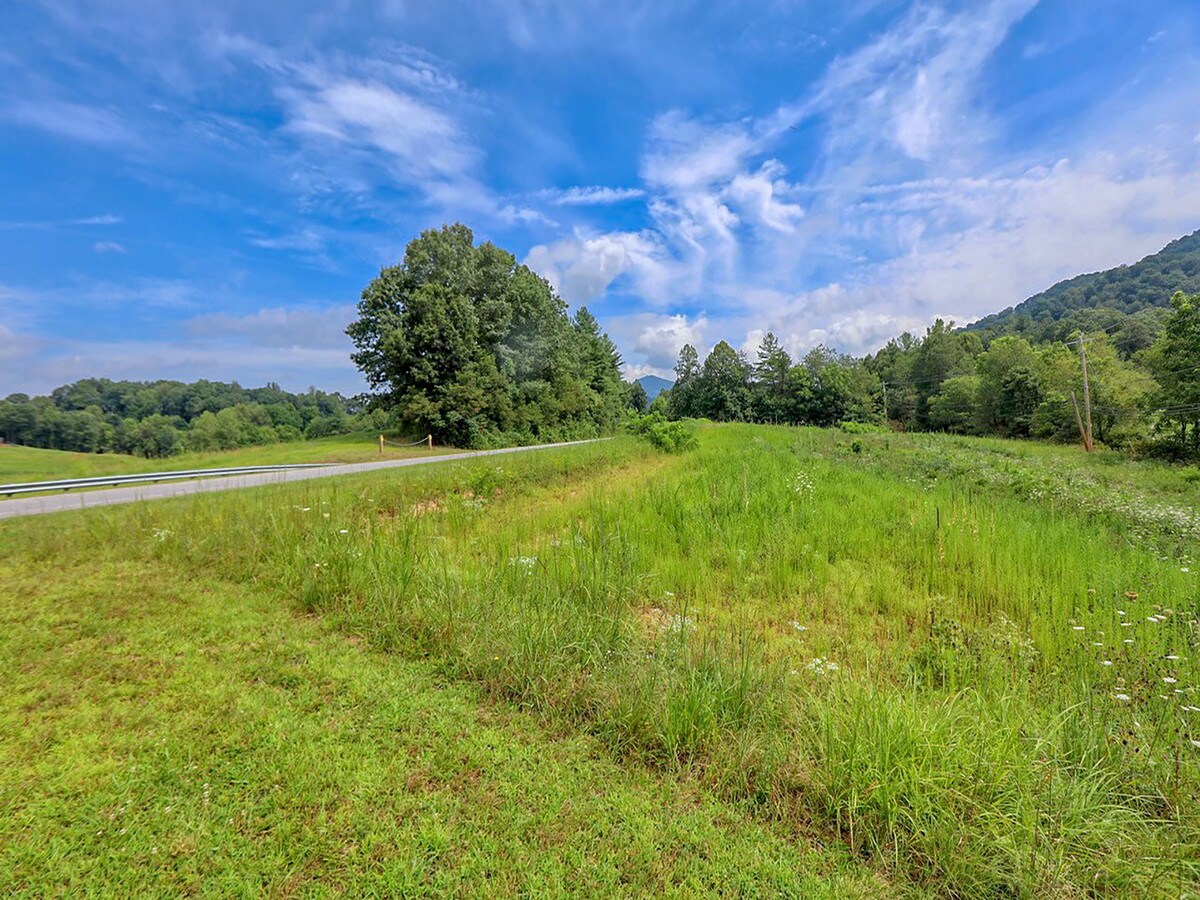 00 Crabtree Rd, Clyde, NC 28721