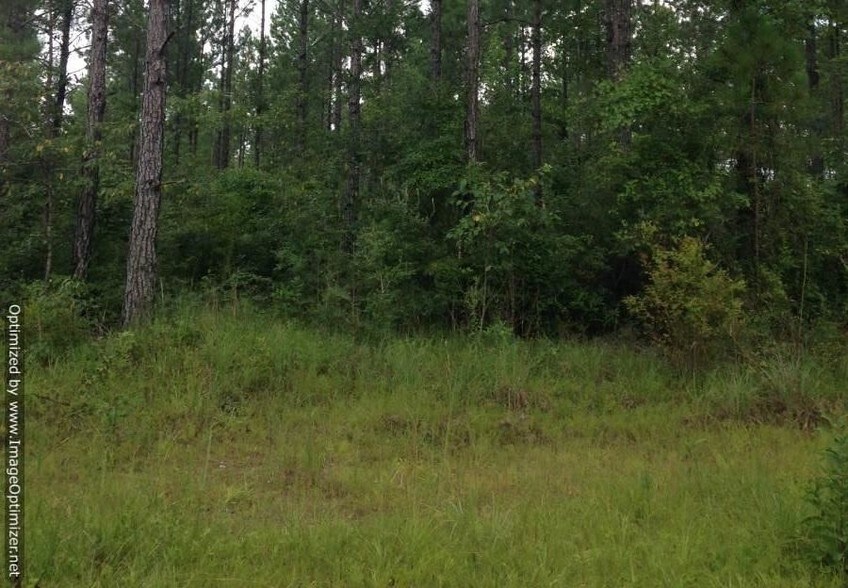 Henry Reyer Rd, Poplarville, MS for sale - Primary Photo - Image 1 of 1