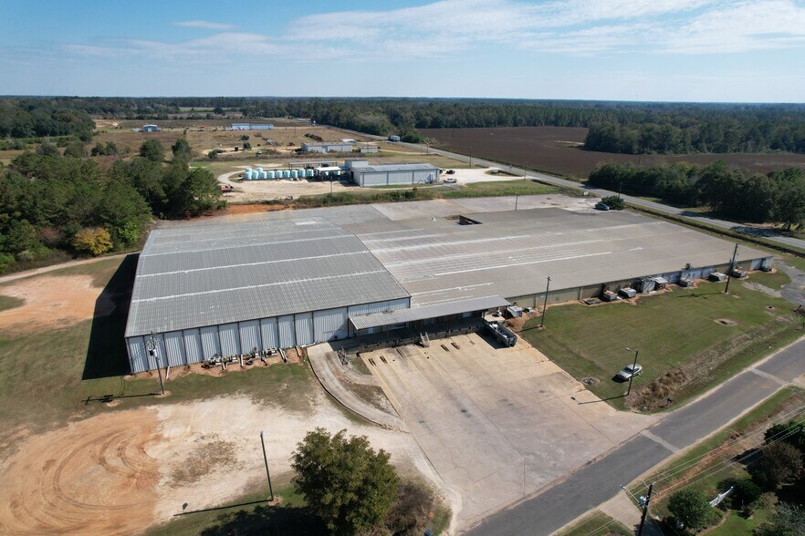 25389 Blakely Rd, Arlington, GA 39813 Industrial for Sale