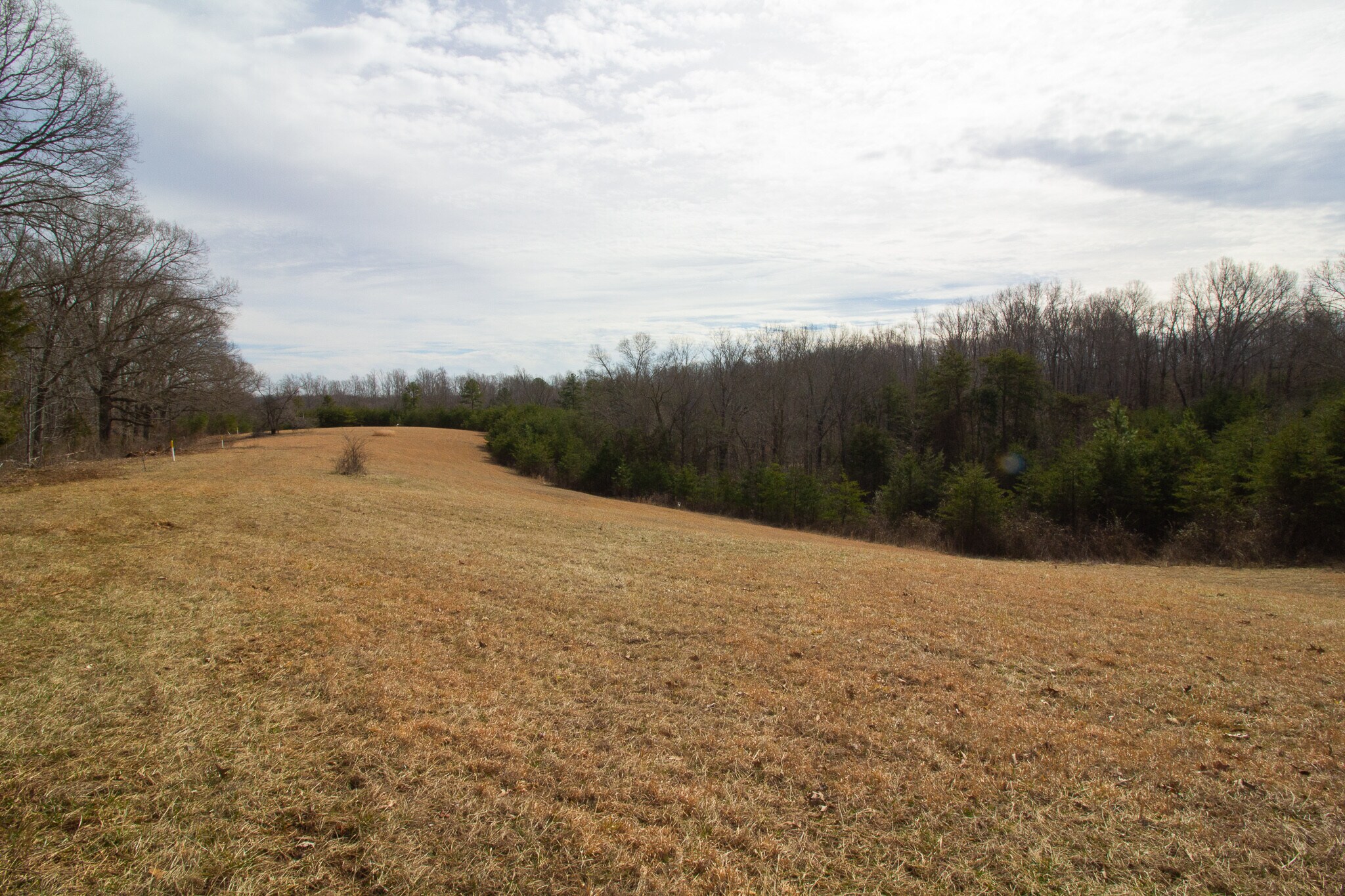 River Road, Madison Heights, Amherst, VA, USA, Madison Heights, VA 24572 Undeveloped Land in
