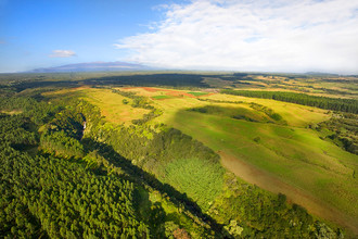 27-5159 Puia Rd, Papaikou, HI - aerial  map view - Image1