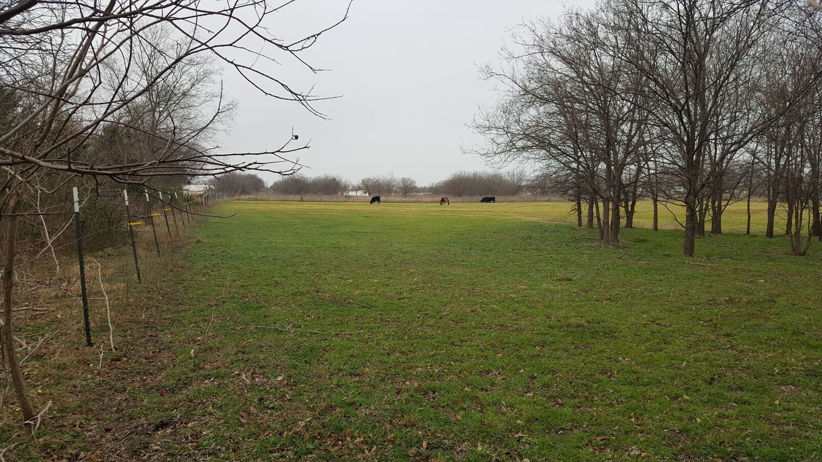 17005 Cardinas Rd, Justin, TX for sale Primary Photo- Image 1 of 1