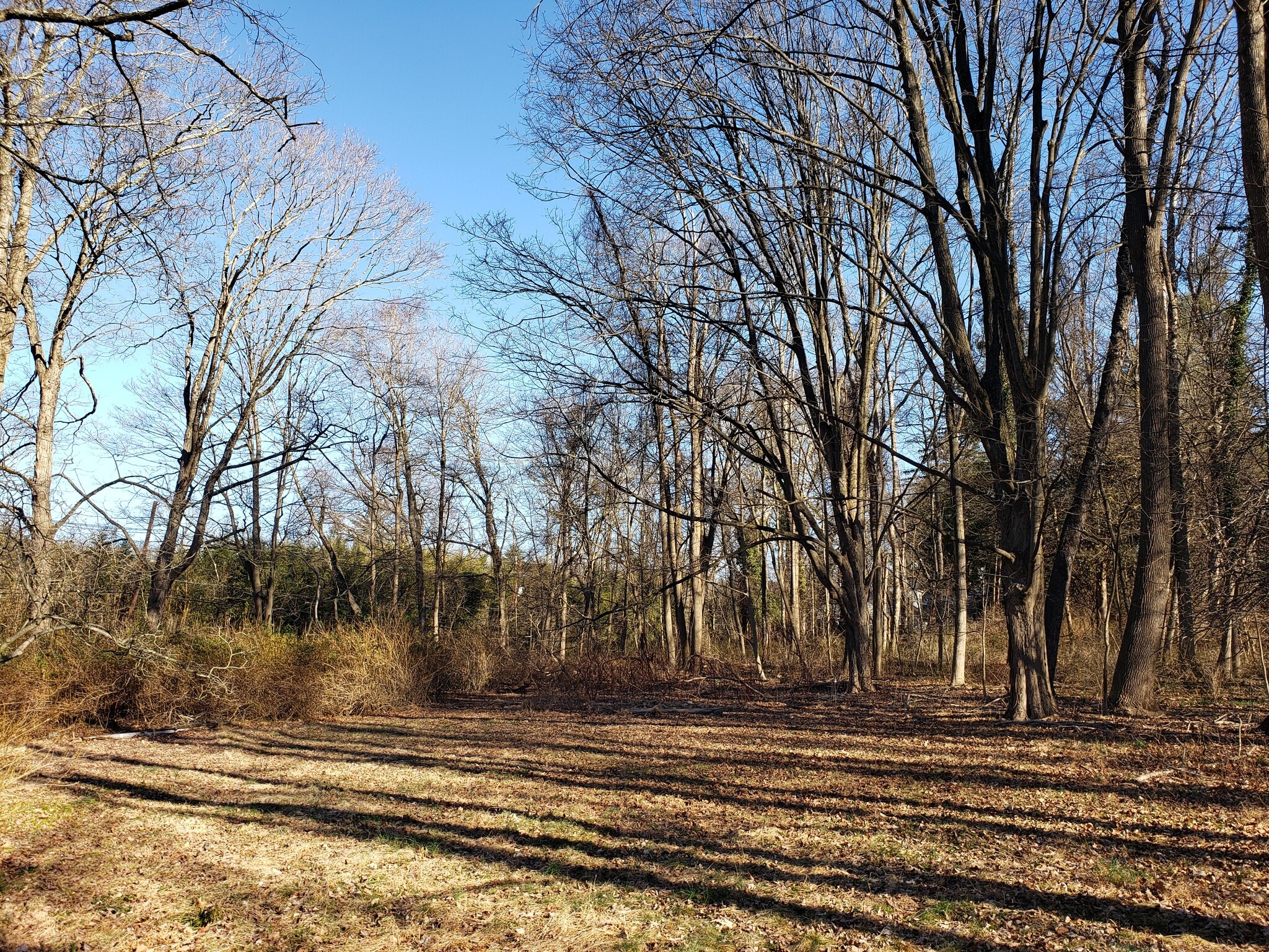 600 Mercer Rd, Princeton, NJ for sale Primary Photo- Image 1 of 1