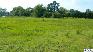 More details for 4603 W Highway 76, Marion, SC - Land for Sale