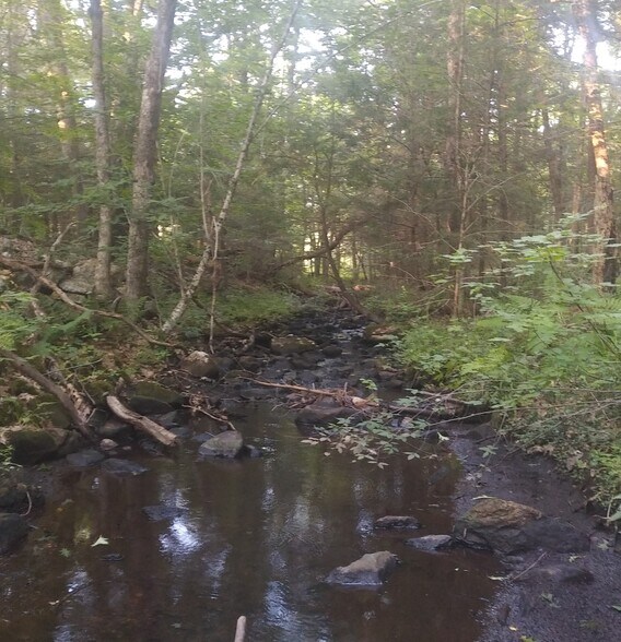 Lots 5C & D Lombard Road, Hubbardston, MA 01452