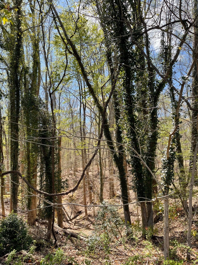 View Photo