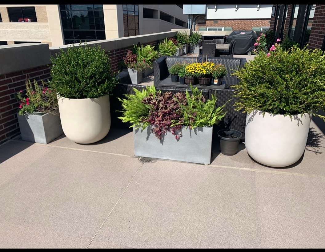 132-134 N York St, Elmhurst, IL for lease Interior Photo- Image 1 of 9