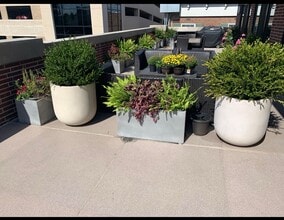 132-134 N York St, Elmhurst, IL for lease Interior Photo- Image 1 of 9