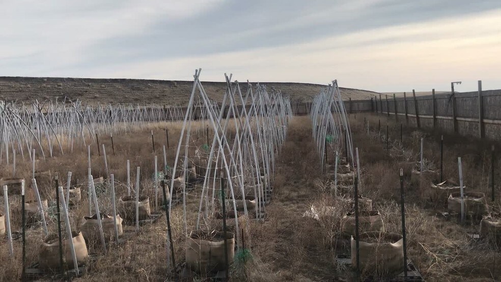 1876 E Lee Rd, Washtucna, WA 99371