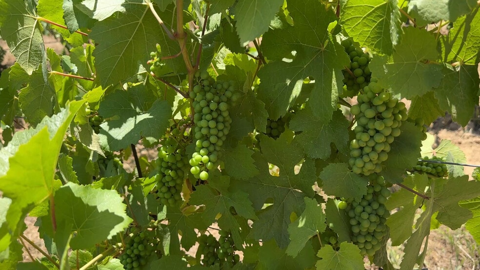 18570 Black Rd, Los Gatos, CA for sale - Building Photo - Image 2 of 23