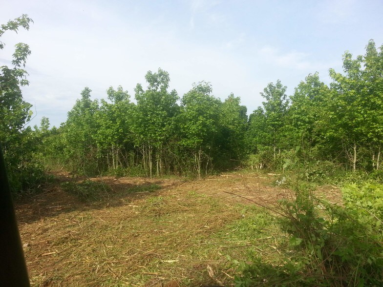 0 Brogdon Rd, Fayetteville, GA 31312