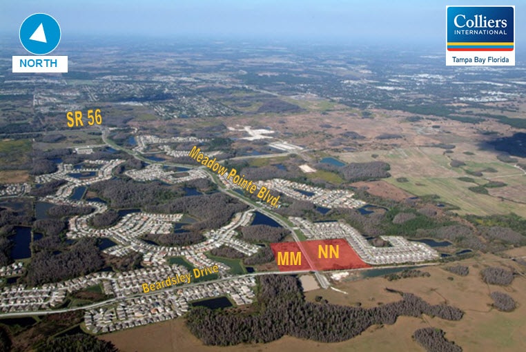 Meadow Pointe Blvd, Wesley Chapel, FL 33543