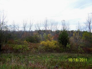 0 Miller Rd, Selkirk, NY for sale - Primary Photo - Image 1 of 1