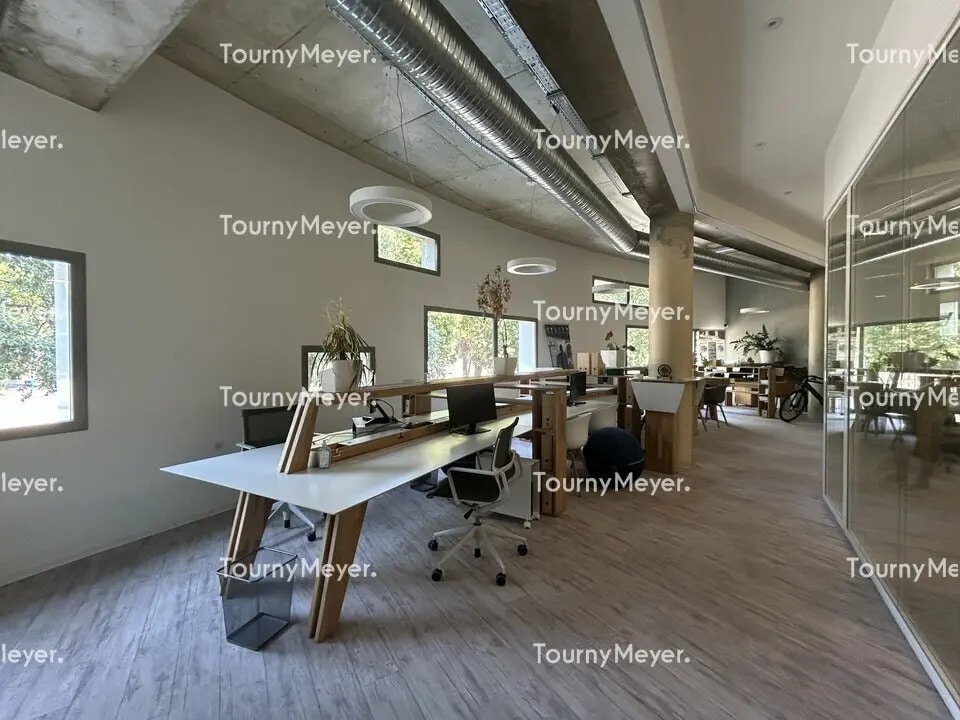 Office in Montpellier for lease Interior Photo- Image 1 of 6