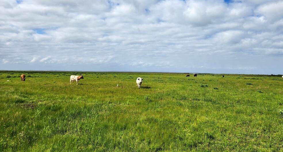 0 Termini San Luis Pass Rd, Galveston, TX 77554 - Land for Sale | LoopNet