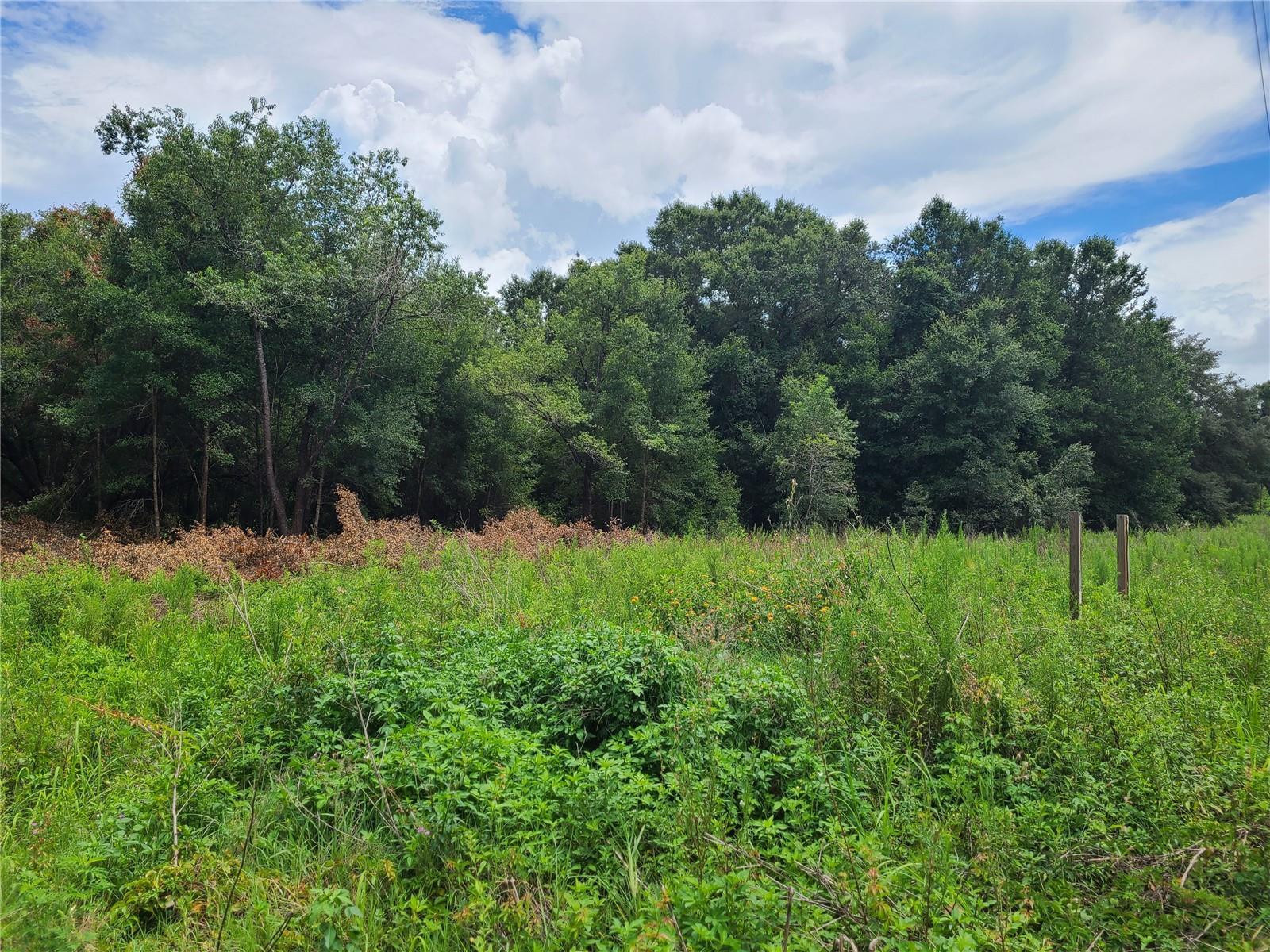 17697 S Highway 25, Weirsdale, FL for sale Primary Photo- Image 1 of 11