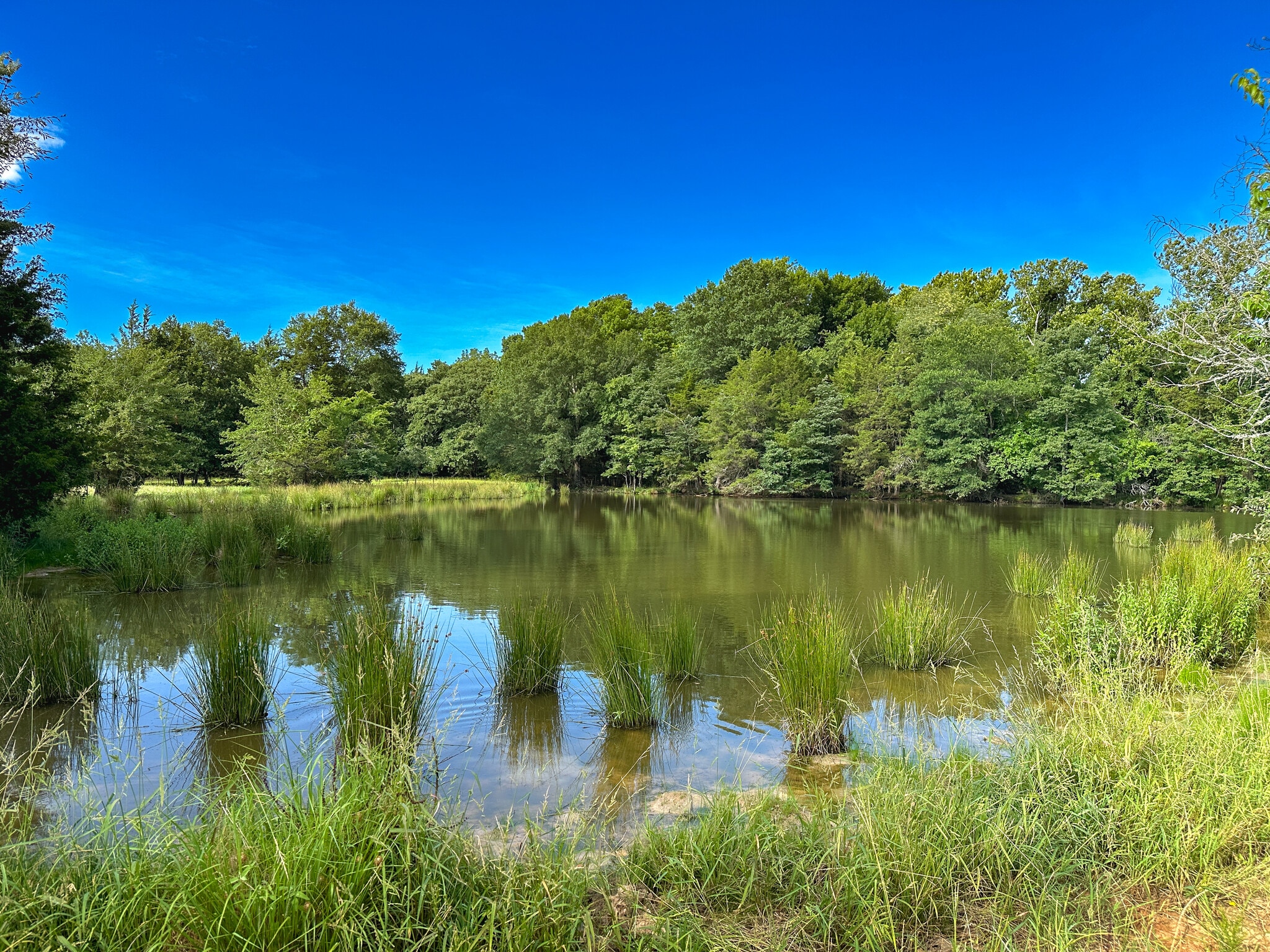 Intersection of FM 2029 and FM 409, Telephone, TX for sale Aerial- Image 1 of 39