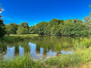 Intersection of FM 2029 and FM 409, Telephone, TX - AERIAL  map view - Image1