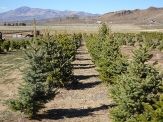 More details for 3995 Bacon Rind Rd, Reno, NV - Land for Sale