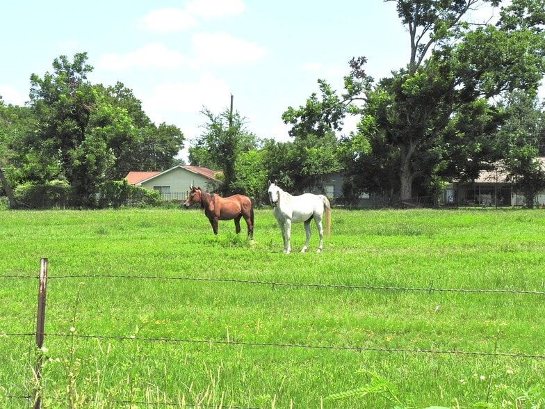 6100 Stuebner Airline Rd, Houston, TX for sale - Primary Photo - Image 1 of 22