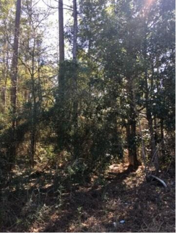 Maple St, Slidell, LA for sale Other- Image 1 of 1