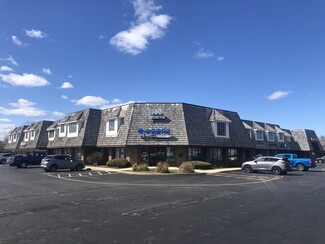 More details for 100 N Atkinson Rd, Grayslake, IL - Office for Lease