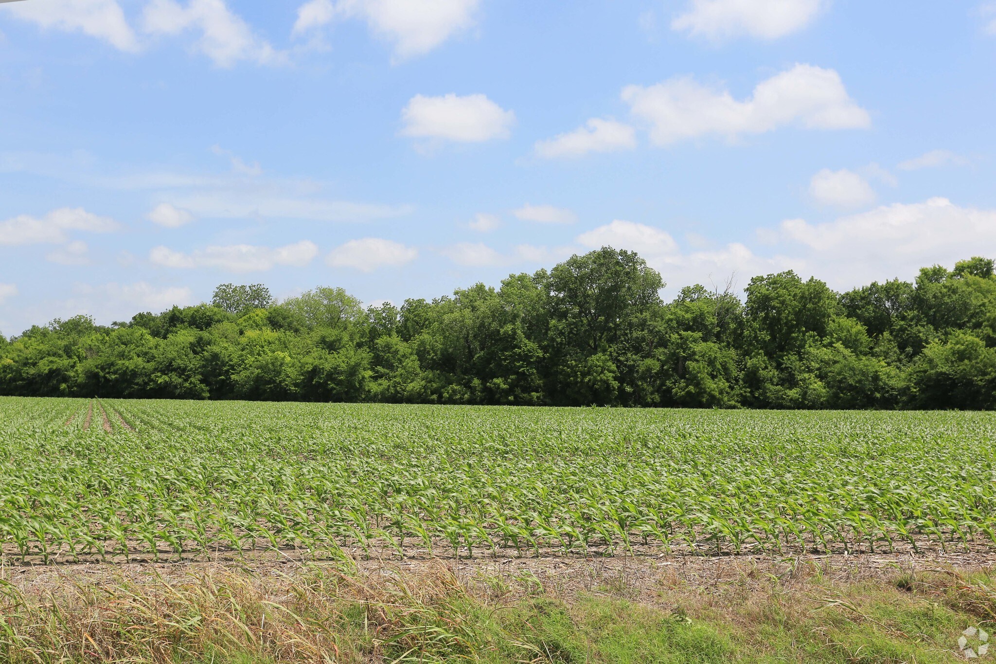 I 35E, Waxahachie, TX for sale Primary Photo- Image 1 of 1