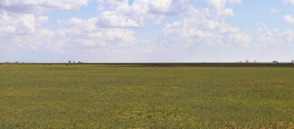 More details for 807 County Road 515, Dimmitt, TX - Land for Sale