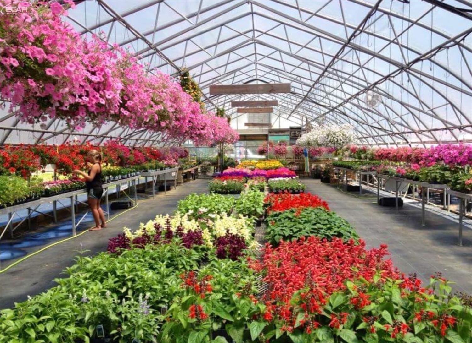 11331 N Genesee Rd, Clio, MI for sale Other- Image 1 of 1