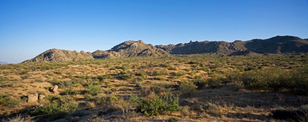 24200 N 128th St, Scottsdale, AZ for sale Primary Photo- Image 1 of 1