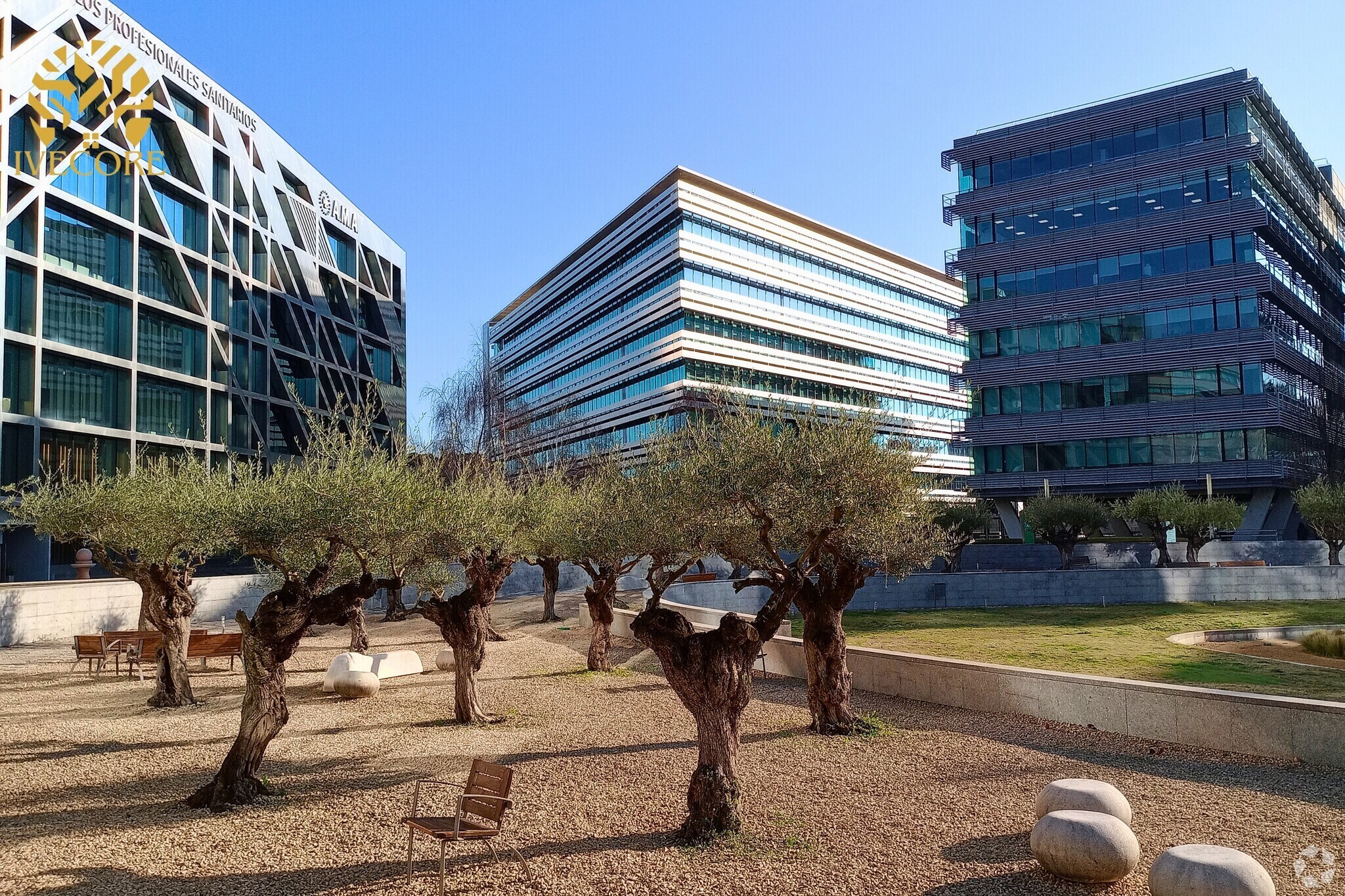 Office in Madrid, Madrid for lease Interior Photo- Image 1 of 26