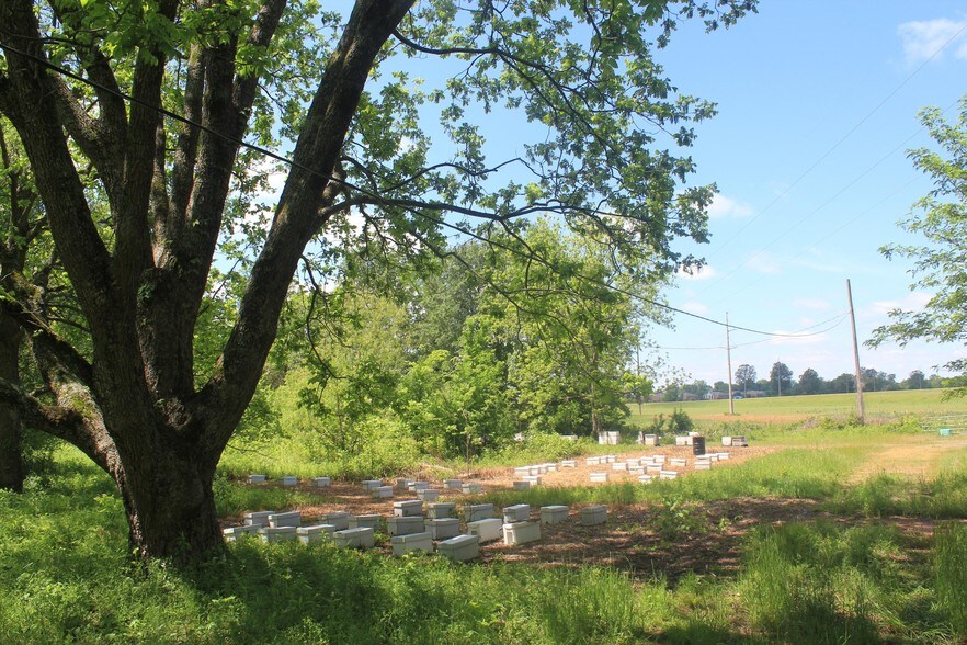 8311 Goodman Rd, Walls, MS for sale - Building Photo - Image 1 of 1