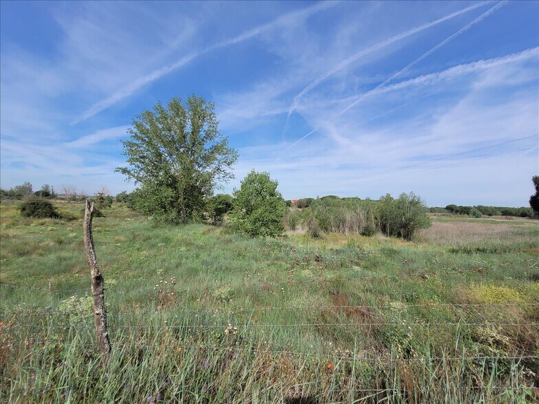 Land in Coreses for sale - Building Photo - Image 3 of 19