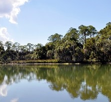 Nature Coast Springs - Campground