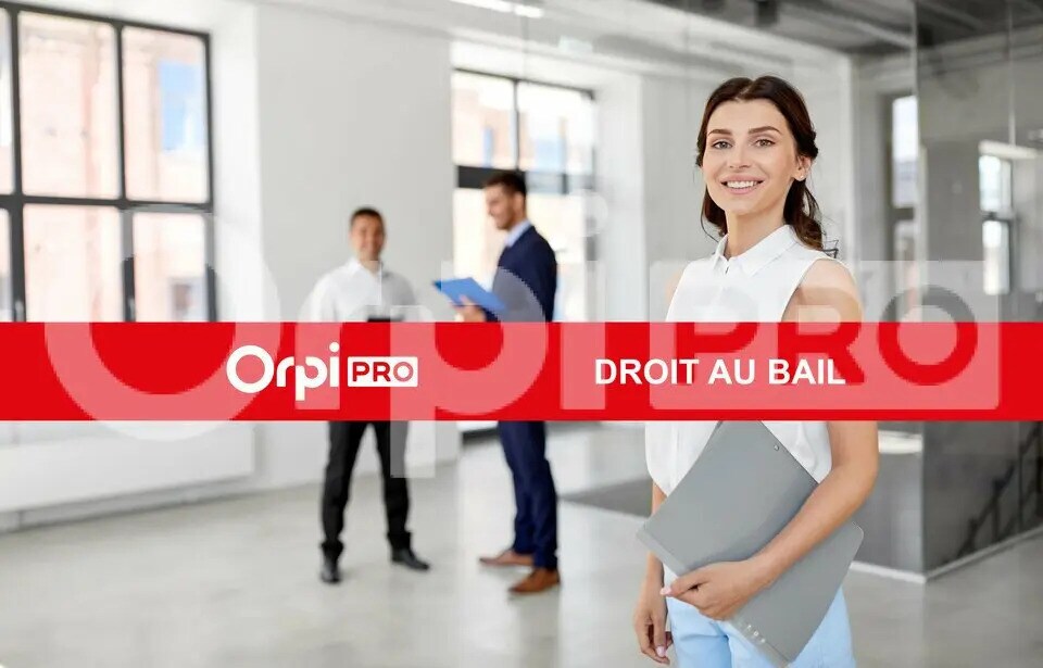 Retail in Mandelieu-la-Napoule for lease Interior Photo- Image 1 of 2