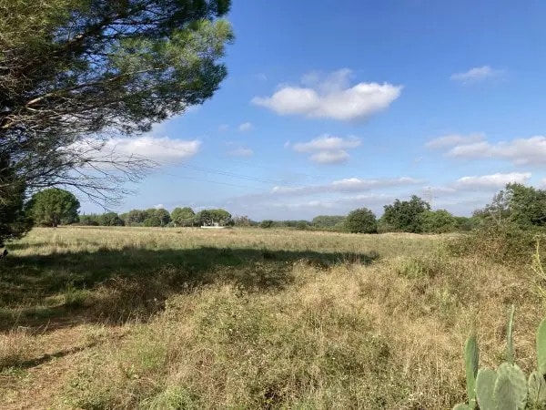 Land in Palau-del-Vidre for sale Aerial- Image 1 of 5