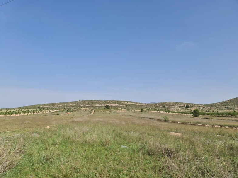 Land in Jumilla for sale - Building Photo - Image 1 of 9