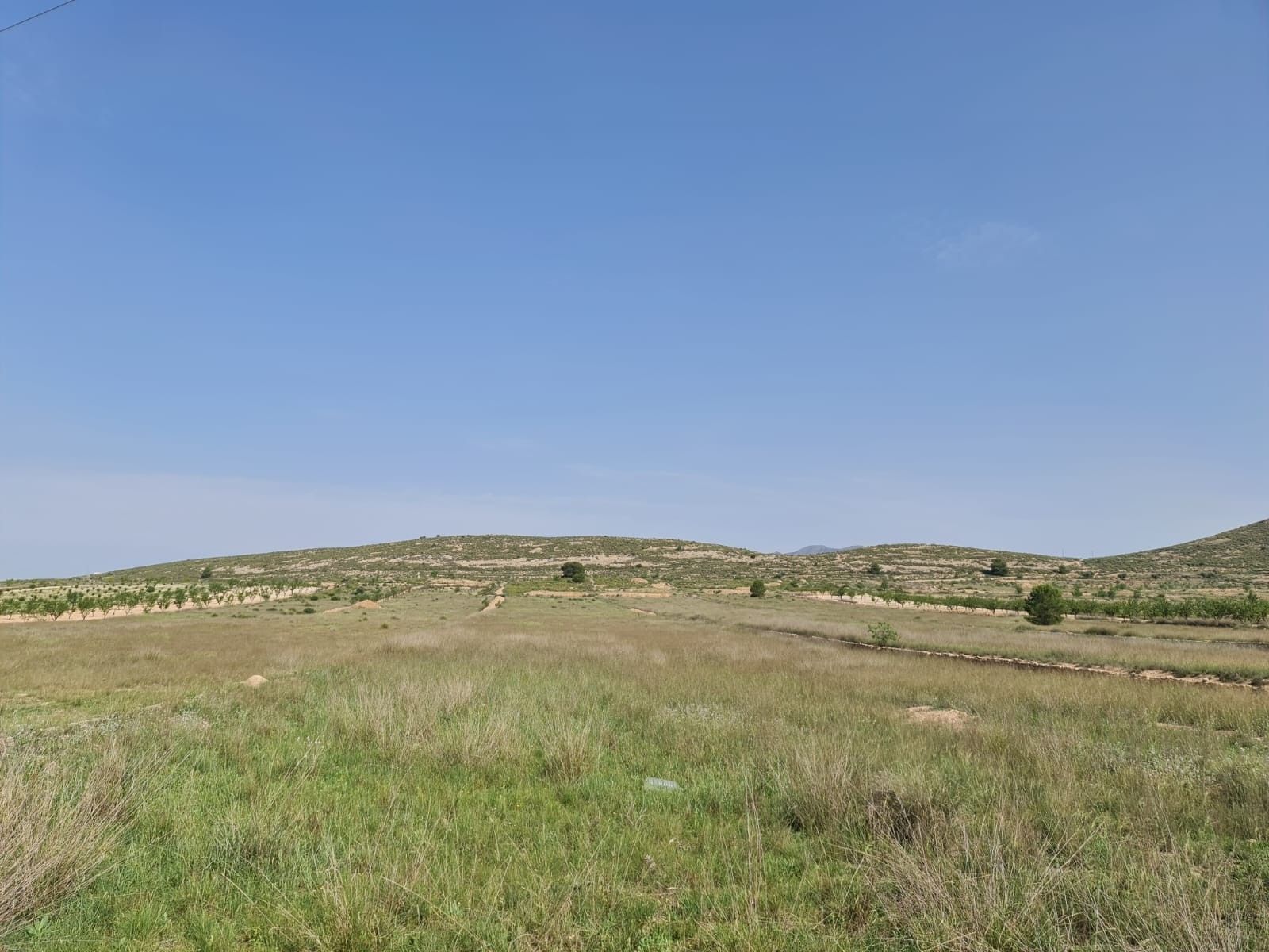 Land in Jumilla for sale Building Photo- Image 1 of 10