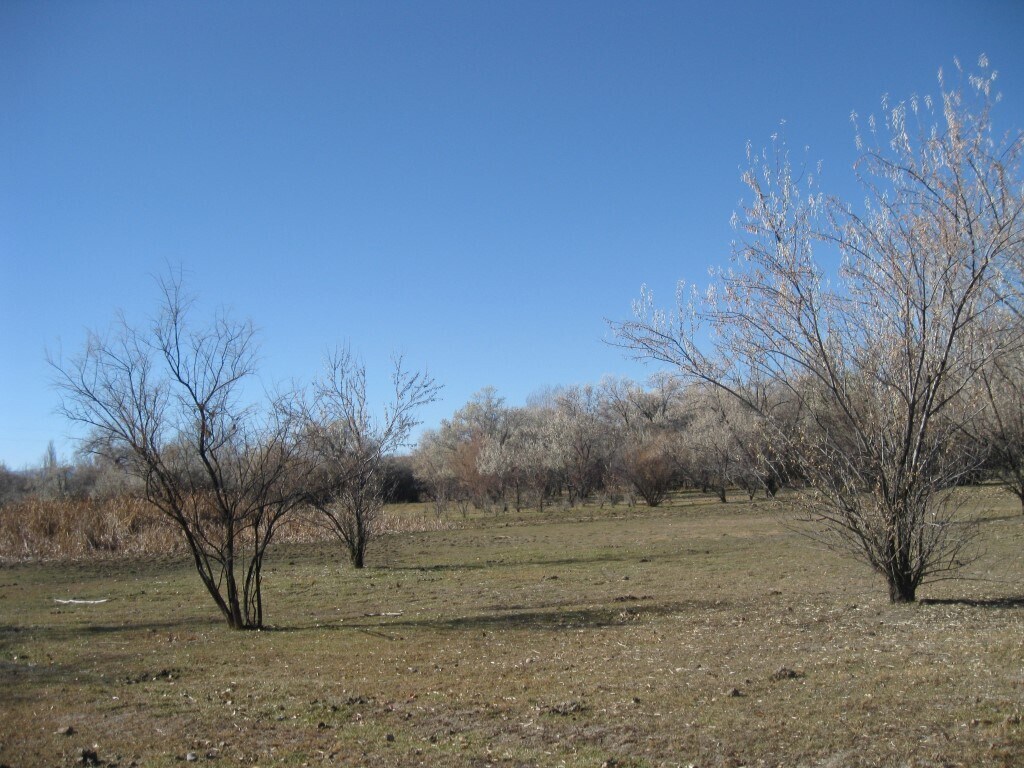 Spring Creek & Marine Dr, Montrose, CO 81401